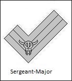 SgtMaj